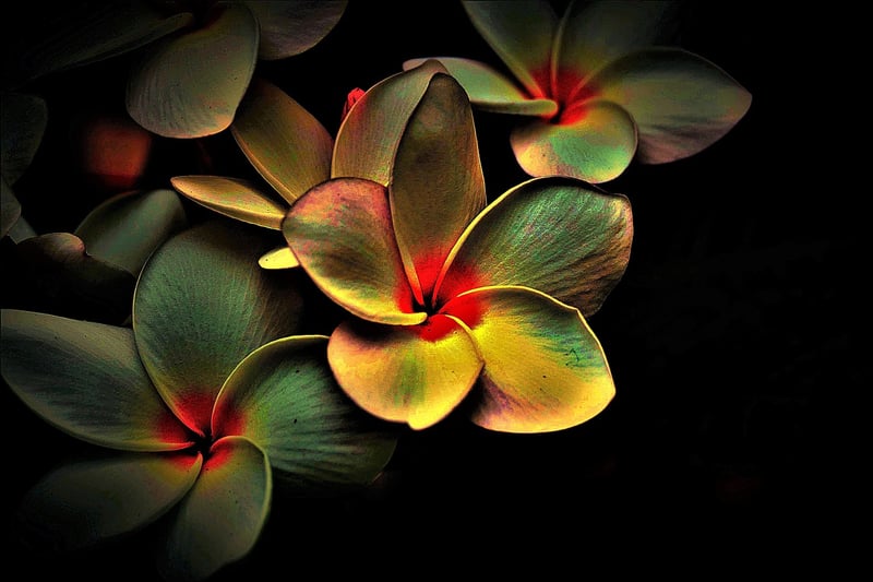 Breathing Image